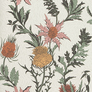 Cole & Son Wallpaper Thistle A Pink/Orange/Parch