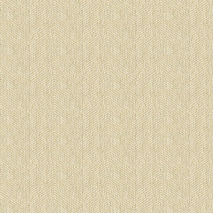 Kravet Fabric 33832-116