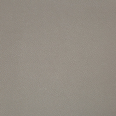 Kravet Fabric Syrus Truffle