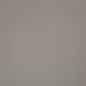 Kravet Fabric Syrus Truffle