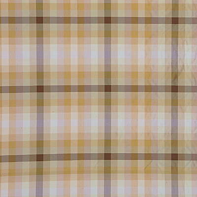 G P & J Baker Fabric Ascot Check Natural
