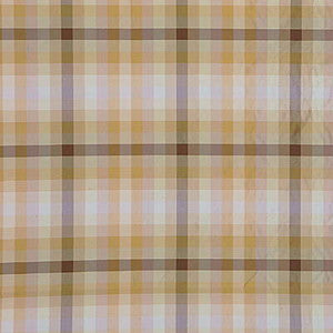 G P & J Baker Fabric Ascot Check Natural