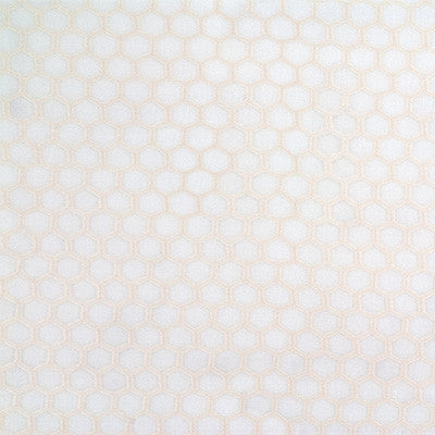 Kravet Fabric 4298-1