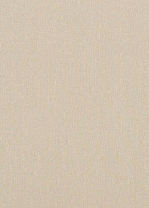 Baker Lifestyle Fabric Carnival Plain Oatmeal