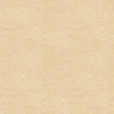 Kravet Fabric 4031-16