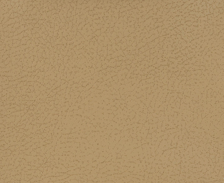 Kravet Fabric Genslar-1611