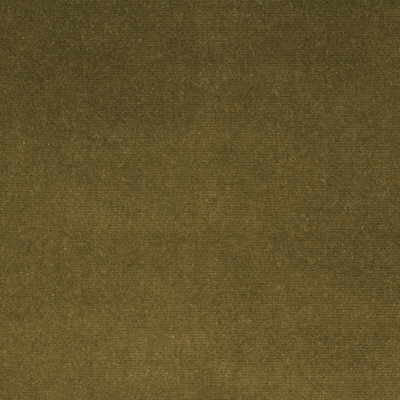 Kravet Fabric Versailles-E284450