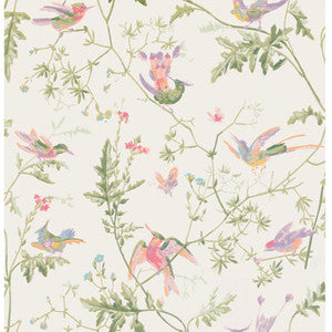 Cole & Son Wallpaper Hummingbirds Soft Multi-Colour