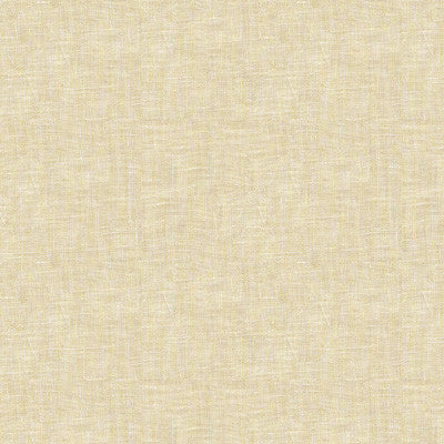 Kravet Fabric 4038-1116