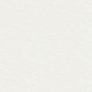 Kravet Fabric 4070-101