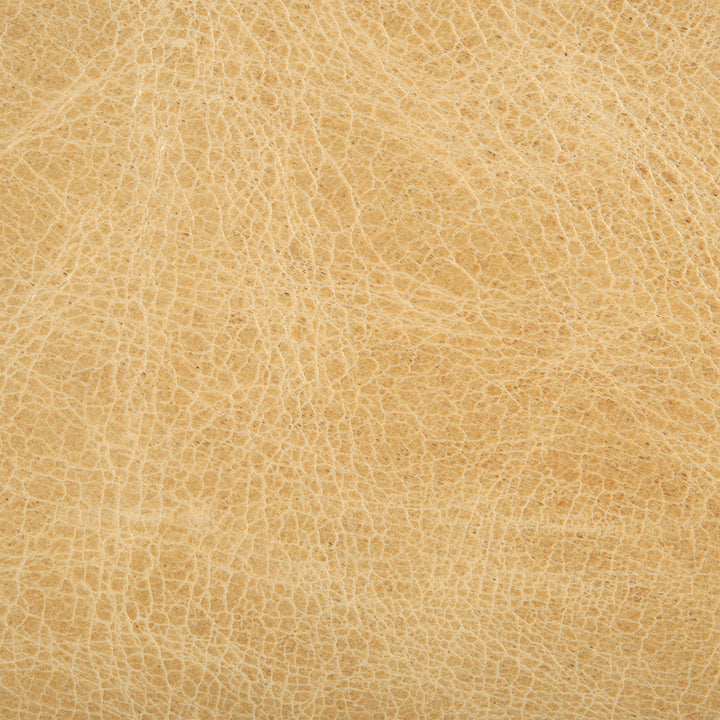 Kravet Fabric L-Haute-Blonde