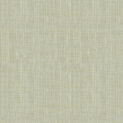 Kravet Fabric 30299-2111