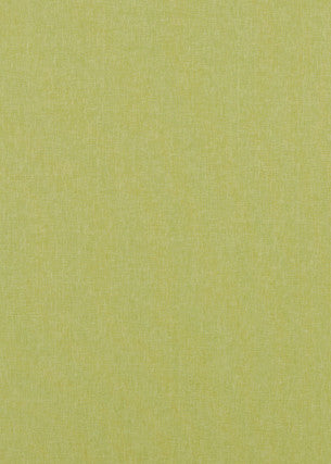 Baker Lifestyle Fabric Carnival Plain Lime