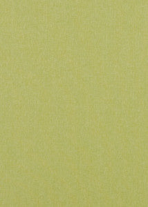 Baker Lifestyle Fabric Carnival Plain Lime