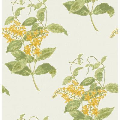 Cole & Son Wallpaper Madras Violet Yellow