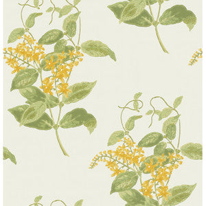 Cole & Son Wallpaper Madras Violet Yellow