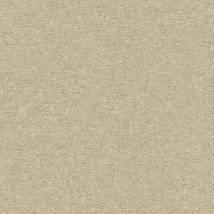 Kravet Fabric 32015-1111