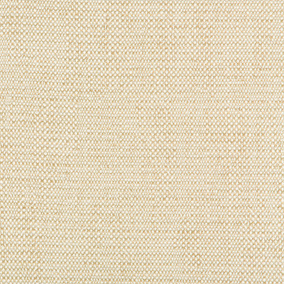 Kravet Fabric 35135-116