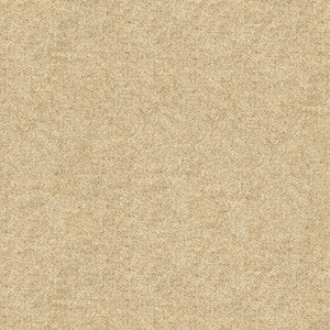 Kravet Fabric 33127-1116