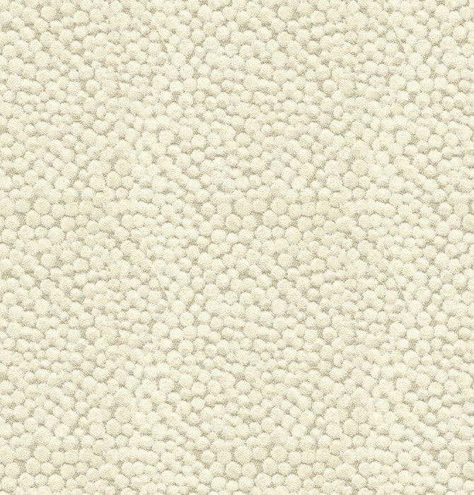 Baker Lifestyle Fabric Lembury Ivory