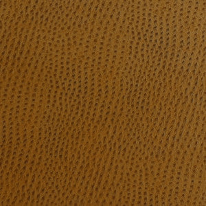 Kravet Fabric   Ossy-24