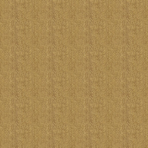 Kravet Fabric 33877-6