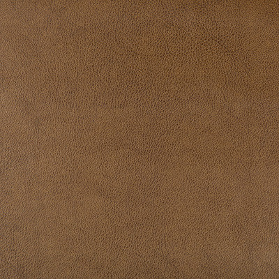 Kravet Fabric Dust-616