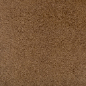 Kravet Fabric Dust-616