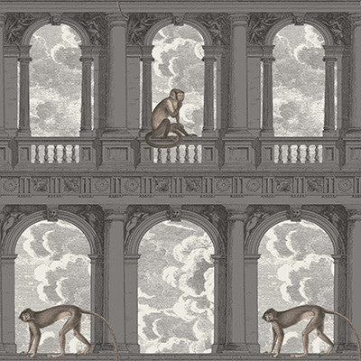 Cole & Son Wallpaper Procuratie Con Vista Soot & Snow