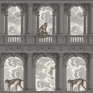 Cole & Son Wallpaper Procuratie Con Vista Soot & Snow