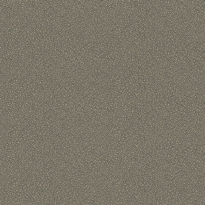 Cole & Son Wallpaper Goldstone Black & Silver