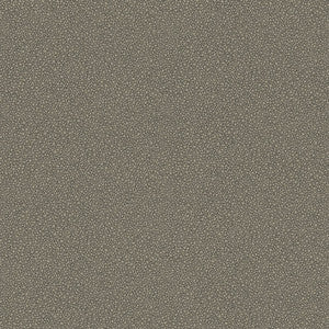 Cole & Son Wallpaper Goldstone Black & Silver