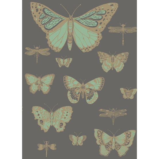 Cole & Son Wallpaper Butterflies & Dragonflies Green On Char