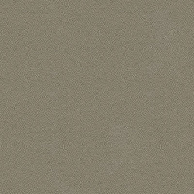 Kravet Fabric Ali-11