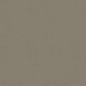 Kravet Fabric Ali-11