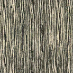 Lee Jofa Modern Fabric Vertex Black
