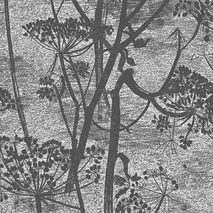 Cole & Son Wallpaper Cow Parsley Charcoal