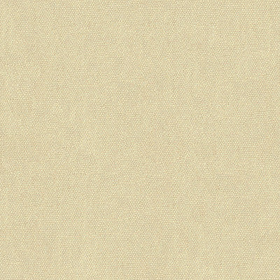 Kravet Fabric 34074-111