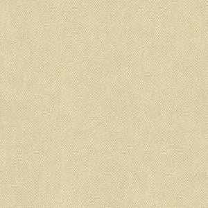 Kravet Fabric 34074-111