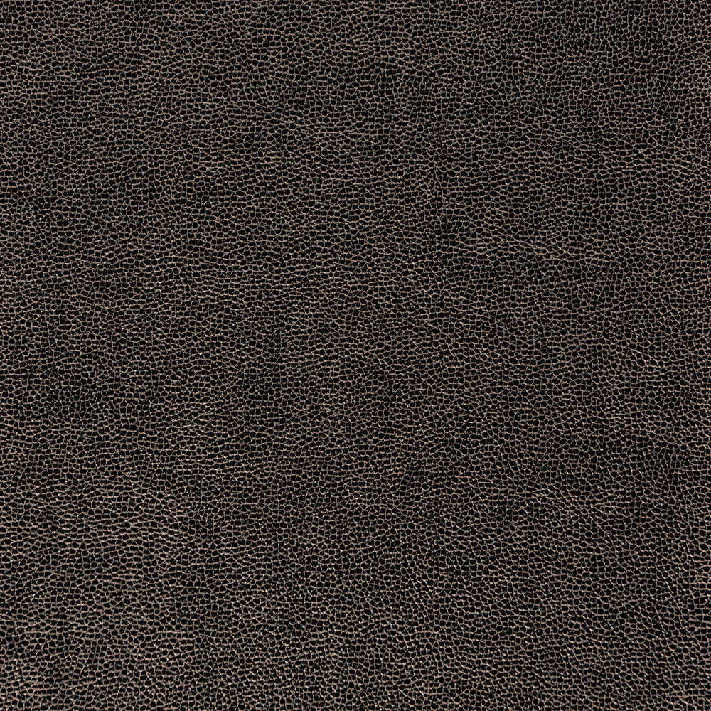 Kravet Fabric Sparta-811