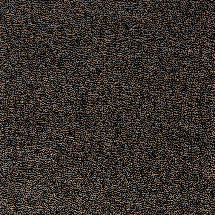 Kravet Fabric Sparta-811