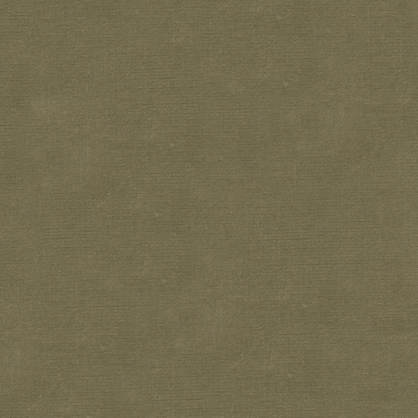 Kravet Fabric Versailles-E277200