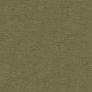 Kravet Fabric Versailles-E277200