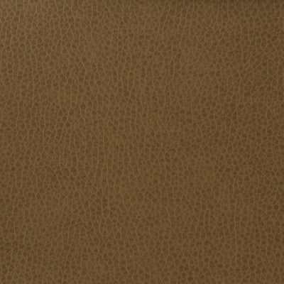 Kravet Fabric Matter-606