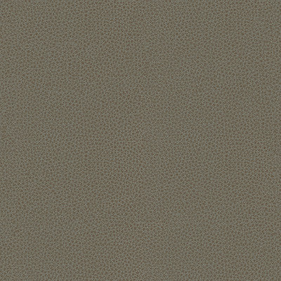 Kravet Fabric  Rigel-11