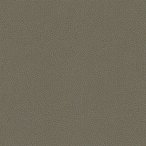 Kravet Fabric  Rigel-11