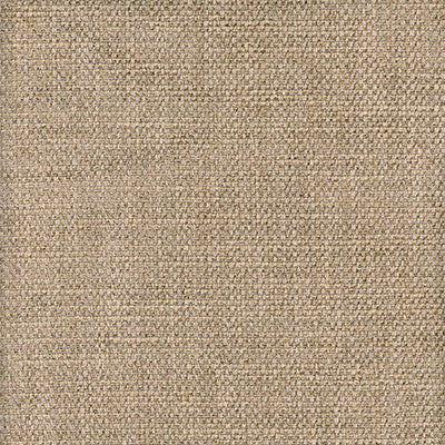 Kravet Fabric Paraggi Wheat