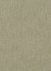 Baker Lifestyle Fabric Kinnerton Lichen