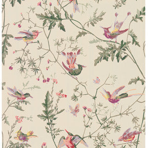Cole & Son Wallpaper Hummingbirds Original Multi-Colour