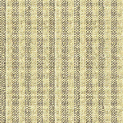 Kravet Fabric 34080-1611